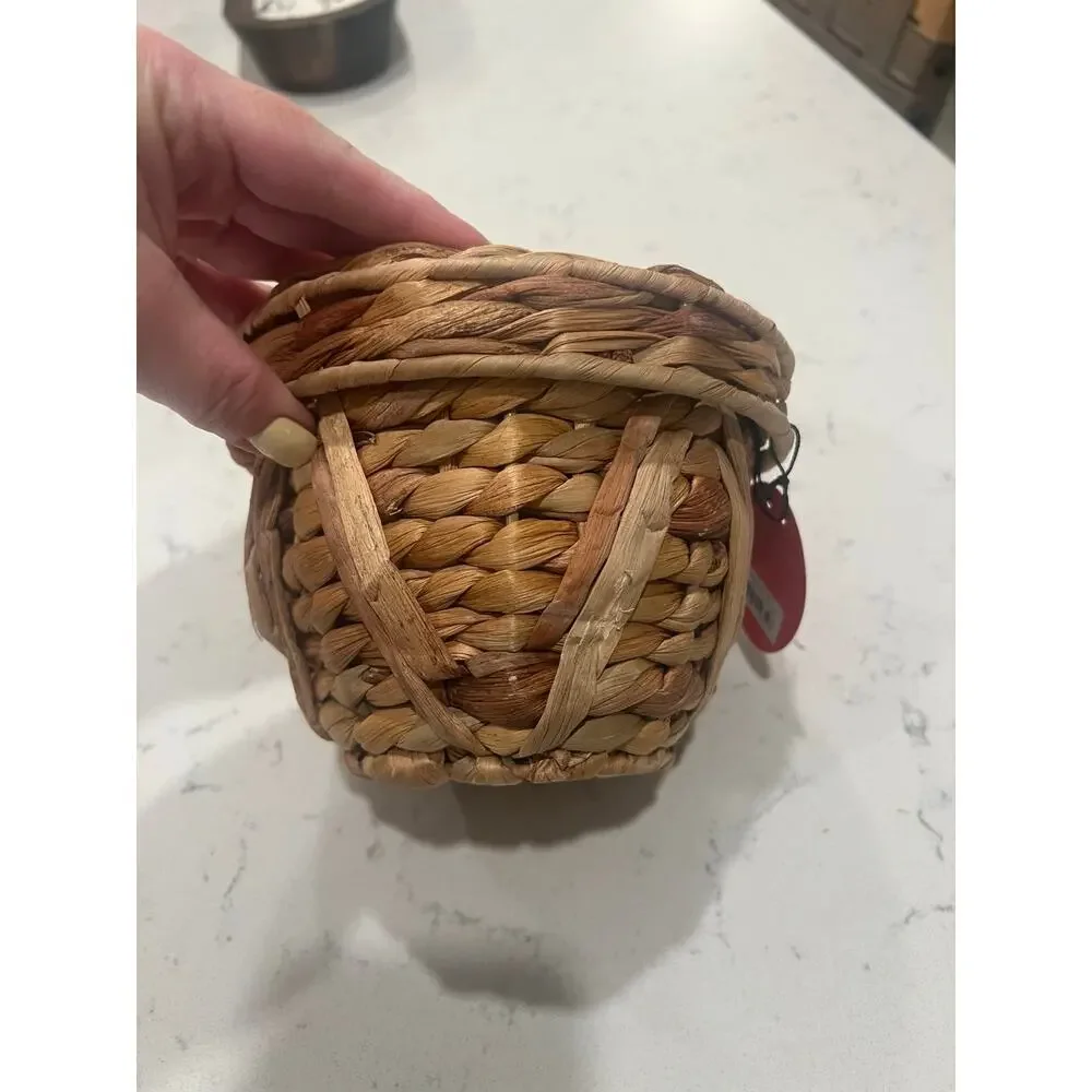 NWT Small Circle Woven Canister